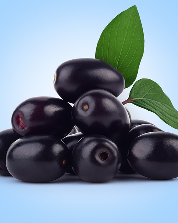 Frozen Jamun
