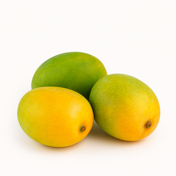 Rajapuri